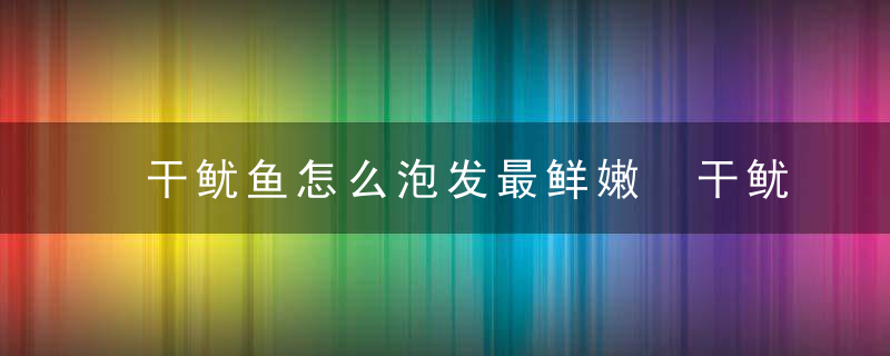 干鱿鱼怎么泡发最鲜嫩 干鱿鱼泡发最鲜嫩的方法有哪些